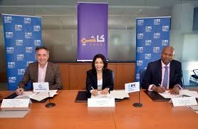 temp_image_1774748370.53585 IFC: Driving Private Sector Development in Emerging Markets