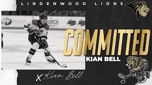 temp_image_1774756382.079035 SJHL Scores, Standings & News: Your Ultimate Hockey Hub