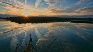 temp_image_1774873178.258919 Windsor Weather: Your Comprehensive Guide to Forecasts & Conditions