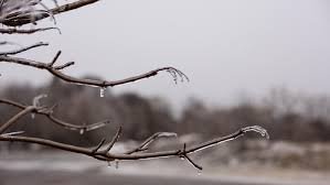 temp_image_1774904150.24907 Pluie Verglaçante: Prévisions Météorologiques et Impacts pour l'Atlantique Canadien