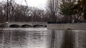 temp_image_1774948796.263603 Guelph Weather: Understanding Cloudflare Blocks & Accessing Local Forecasts