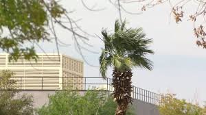 temp_image_1774967358.826708 Las Vegas Weather: Dust Advisory Issued as Strong Winds Sweep Through