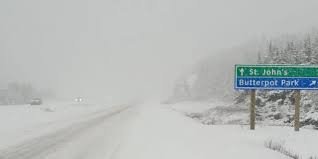 temp_image_1775036687.007837 VOCM News: Stay Informed with Newfoundland and Labrador's Leading Source