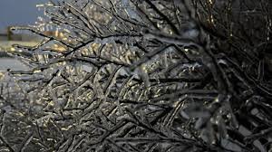 temp_image_1775053083.545721 School Closures in New Brunswick Today: Updates, Impacts & What Parents Need to Know