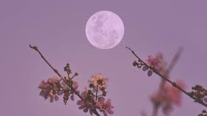 temp_image_1775092809.716997 April Full Moon 2026: Date, Significance & Easter Connection