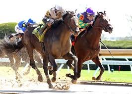 temp_image_1775271760.56029 Dialed In's Legacy Continues: Trouble Calling Scores in Lafayette Stakes