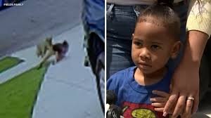 temp_image_1775306484.113935 Coyote Attacks: Carson Boy's Attacker Euthanized, Increased Concerns in Southern California
