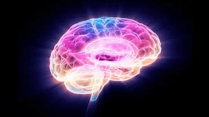 temp_image_1775449513.507837 Aging Brain: Unlocking the Secrets of Cognitive Decline with FTL1