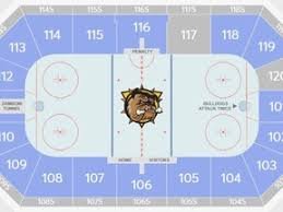 temp_image_1775697433.507696 Brantford Bulldogs: A Rising Force in the OHL