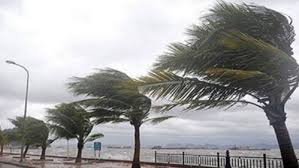 temp_image_1775815420.734217 Neige: Understanding Snow, Its Formation, and Impact