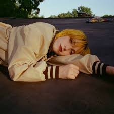 temp_image_1775970313.686945 Hayley Williams: A Journey Through Music, Style & Mental Health Advocacy