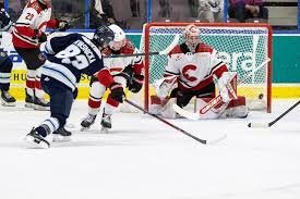 temp_image_1775970641.960958 Penticton Vees: A Deep Dive into the BCHL's Premier Hockey Team