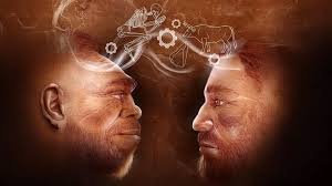 temp_image_1776074664.832439 Neanderthal Interactions: Rewriting Human History at Tinshemet Cave