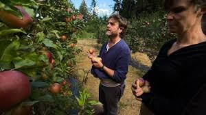 temp_image_1776088583.668405 Zach Galifianakis: From Quirky Comedian to Hollywood Star