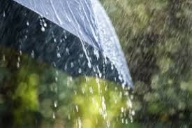 temp_image_1776244171.204865 Windsor Weather: Your Complete Guide to Forecasts, Conditions & Climate