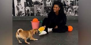 temp_image_1776307225.806369 Taylor Rooks: Rising Star in Sports Media & Her Impact on the Industry