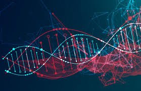 temp_image_1776438685.529694 Red Hair: A Comprehensive Guide to Ginger Shades, Care & Style