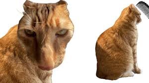 temp_image_1776537868.208354 Brush Jjaemu: The Korean Skincare Secret for Glass Skin