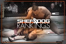 temp_image_1776576333.028847 UFC Rankings: Your Ultimate Guide to the Top Fighters in MMA