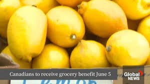 temp_image_1776606163.432078 GST Grocery Rebate: Your Complete Guide to the Canada Groceries and Essentials Benefit