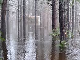 temp_image_1776609008.591974 Minden Ontario Flood Alert: Essential Safety Tips and Emergency Updates