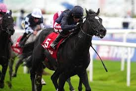 temp_image_1776650428.214272 Puerto Rico: Discover the Magic of the Island of Enchantment