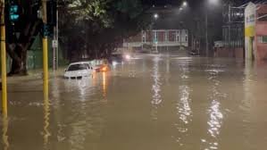 temp_image_1776779158.893042 Wellington Devastated: Survival Stories from New Zealand's Record-Breaking Floods