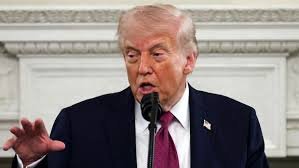 temp_image_1776865094.480707 MSC Francesca: Experience the Pinnacle of Luxury Cruising