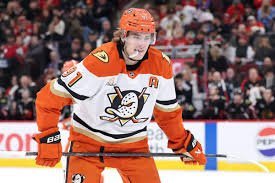temp_image_1777092023.199068 Leo Carlsson: The Rising Star Ready to Clash with NHL Giants