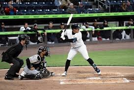 temp_image_1777233847.047735 The Rise of Anthony Volpe: The New Face of the New York Yankees