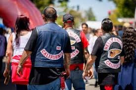 temp_image_1777319659.709577 Hells Angels Murder Convictions in Jeopardy: The Shocking 'Pizza Oven' Plot and Legal Twists