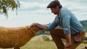 temp_image_1777604020.793765 The Sheep Detectives Review: A Star-Studded Woolly Mystery