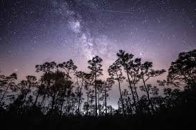 temp_image_1777709771.186733 Upcoming Meteor Showers: Your Ultimate Guide to Stargazing the Best Celestial Events