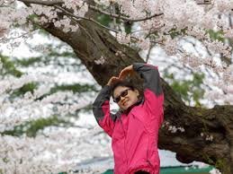 temp_image_1777727634.9176 High Park Cherry Blossoms: Your Ultimate Guide to Toronto's Spring Wonderland