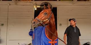temp_image_1777743126.897535 Kentucky Derby 126th: Can Renegade Defy the Odds Like Mike Repole's Legends?