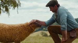 temp_image_1777828774.935785 Sheep Detectives: The Fluffiest Investigators on the Case!