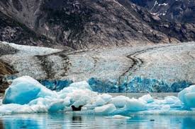 temp_image_1778085427.235575 Alaska's 481-Metre Megatsunami: A Stark Warning from the Climate Crisis