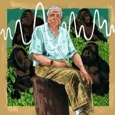 temp_image_1778116777.983277 David Attenborough: The Voice that Defined Our Relationship with Nature