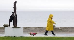 temp_image_1778153299.57795 Weather Hamilton: Your Ultimate Guide to Navigating the Steel City's Seasons