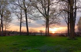 temp_image_1778241577.430744 Brampton Weather: Your Complete Guide to Seasonal Forecasts & Staying Prepared