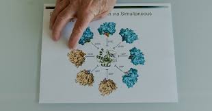temp_image_1778693777.526686 A New Era of Hope: How Daraxonrasib is Transforming Pancreatic Cancer Treatment