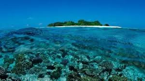 temp_image_1778806553.611242 Tragedy in the Maldives: Five Italian Divers Perish in High-Risk Cave Accident
