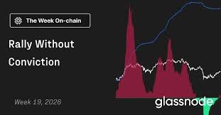 temp_image_1778912563.927284 Bitcoin Reclaims $80K: Is a Genuine Bull Market Returning or Just a Dead Cat Bounce?