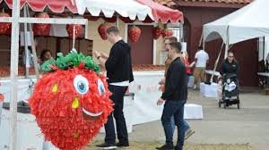 temp_image_1778949670.102445 The Ultimate Guide to the 40th Annual Strawberry Festival in Ventura: Dates, Tickets & Treats!