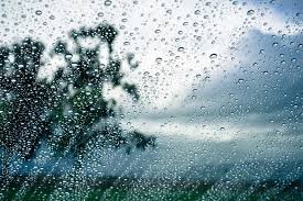 temp_image_1778953646.717701 Toronto Weather May 16, 2026: Sunny Morning, Rainy Afternoon Forecast