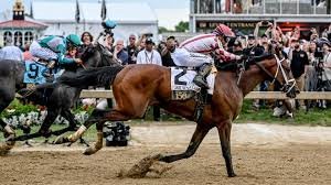 temp_image_1778975369.340573 The Hell We Did Horse: The Unconventional Dark Horse of the Preakness Stakes