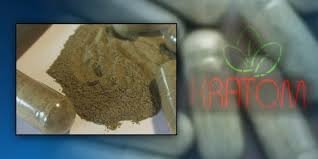temp_image_1779003624.783674 The Dangerous Kick: Why Schools are Warning Parents About Kratom and 7-OH