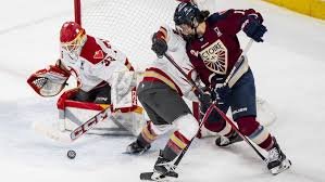 temp_image_1779149307.533977 Victoire Montreal on the Brink of Glory: Can They Clinch the Walter Cup?