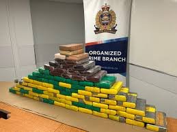 temp_image_1779349123.951851 Massive $8 Million Cocaine Seizure: Major Drug Bust Hits Edmonton Streets