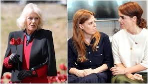 temp_image_1779404878.674078 Queen Camilla and Prince William: The Growing Rift with the House of York
